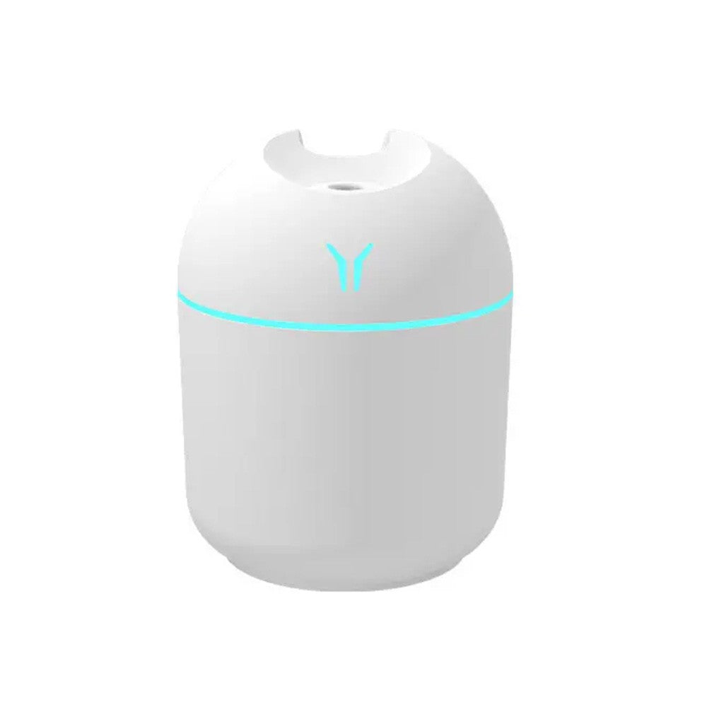 Humidifier